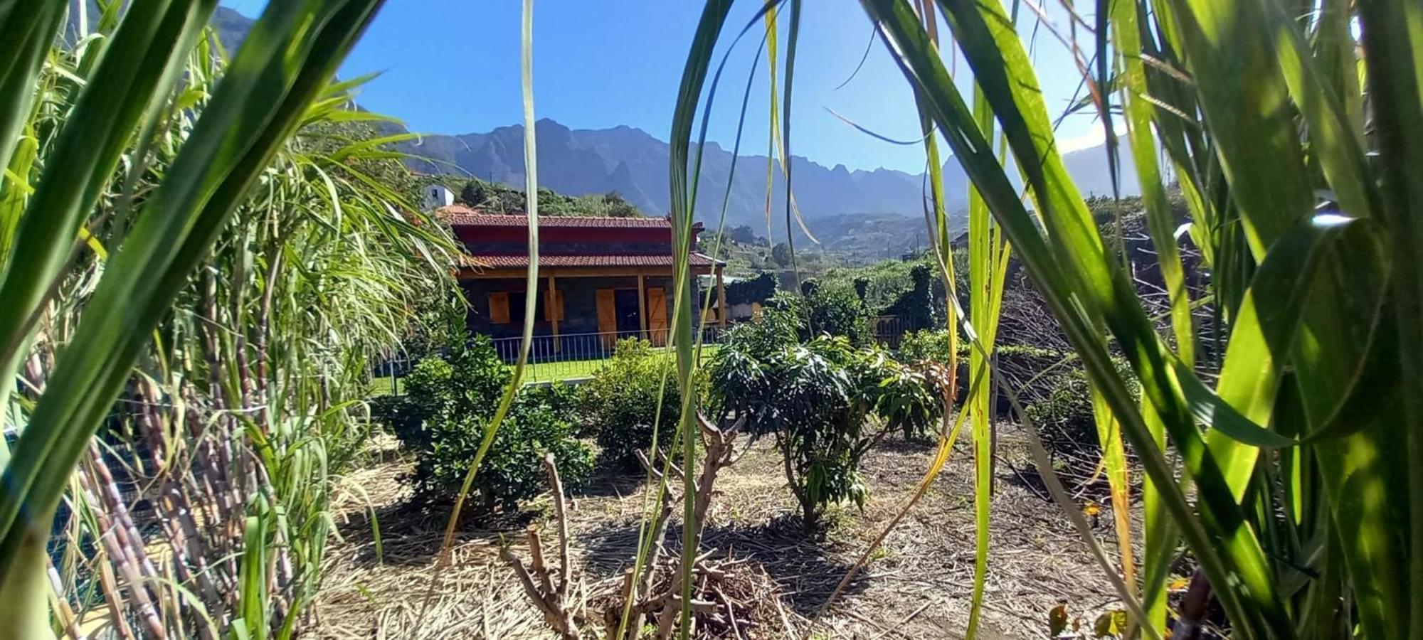 Villa Refugio Do Limoeiro São Vicente Exterior foto